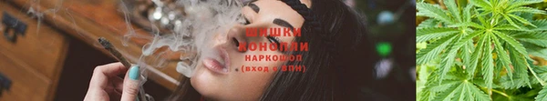 молекула духа Ачинск